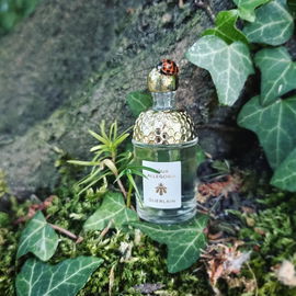 von Zuckerblume