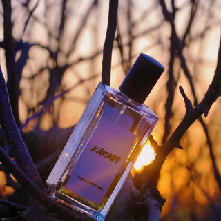 Karma (Perfume) - Lush