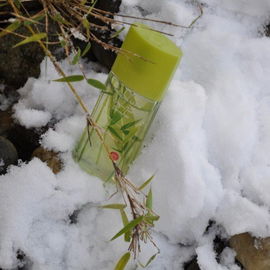 Green Tea Bamboo - Elizabeth Arden