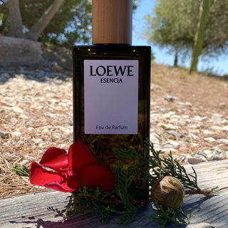 Esencia (Eau de Parfum) by Loewe