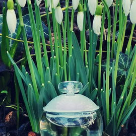Wird doch langsam mit dem Frühling.