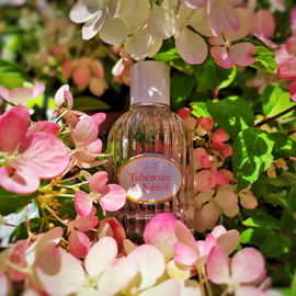Tubéreuse & Néroli - Jeanne en Provence