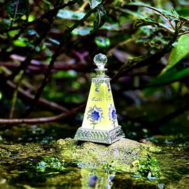 Lost Paradise