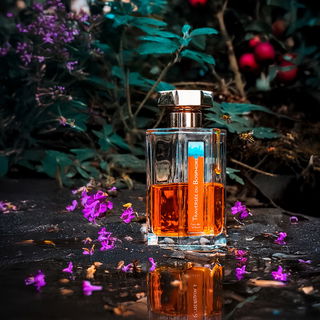 Traversée du Bosphore - L'Artisan Parfumeur