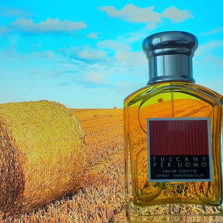 Tuscany per Uomo / Etruscan (Eau de Toilette) von Aramis