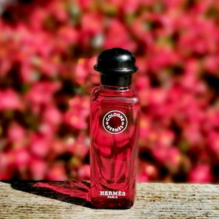 *Rhabarber - Trilogie* Teil 2