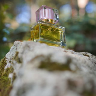 Paltrida by Angelos Créations Olfactives