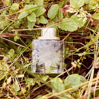 Le Roy Soleil Homme (Eau de Toilette) by Salvador Dali