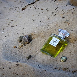 N°19 (Eau de Parfum) - Chanel