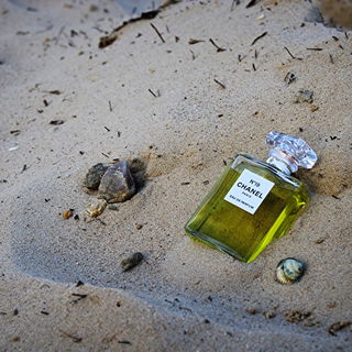 N°19 (Eau de Parfum) - Chanel