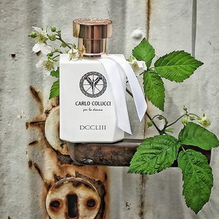 DCCLIII per La Donna - Carlo Colucci