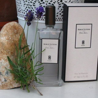 Gris clair... (2006) by Serge Lutens