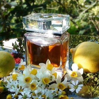 Homme Exceptionnel (Eau de Toilette) by Montblanc