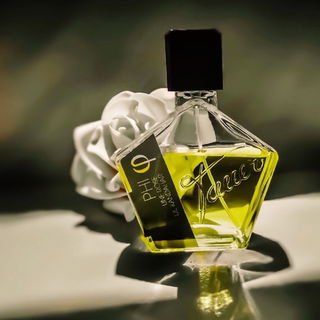 PHI - Une Rose de Kandahar / Collectible PHI - Une Rose de Kandahar - Tauer Perfumes