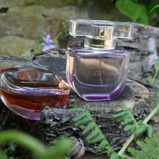 L'Instant de Guerlain (Eau de Parfum)