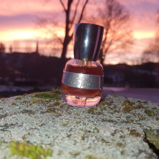 Ambra von Omnia Profumi