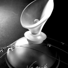 Vie privée (1989) (Eau de Toilette) - Yves Rocher
