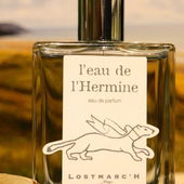 Das Hermelin - Wappentier der Bretagne (von TomLavender)