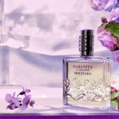 .... Habanitas Boudoir - - spürt Ihr den weichen warmen Rosenwind, der durch die Gardine weht ... und durch den Duft  :)) (von IrisNobile)