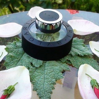 Bvlgari Black by Bvlgari