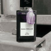 Dankeschön :-) Full Galop steht auf einem Pferdehänger (by Seejungfrau)