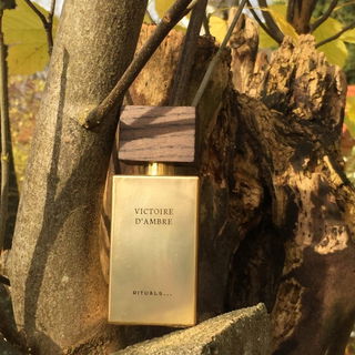 Oriental Essence - Victoire d'Ambre - Rituals