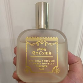 Eva - Santa Maria Novella