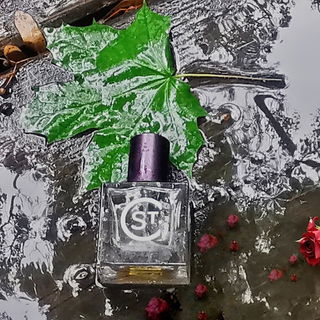 Armor & Sanctuary These two scents were inspired by artist Barbara Krueger’s 1989 art piece, “Your Body is a Battlefield”. I have created them to harness the art of scent—and its power to provoke our deepest emotions—to speak out against attempts to assert control over women’s bodies without their consent.  Diane's Inspiration für ihre beiden neuen Düfte. Der Text stammt von ihrer Webseite. Armor, die Rüstung, nicht zu verwechseln mit Amor, dem Gott der Liebe. Ganz lieben Dank euch allen 🤗😘