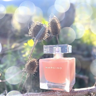 Narciso Eau Néroli Ambrée - Narciso Rodriguez