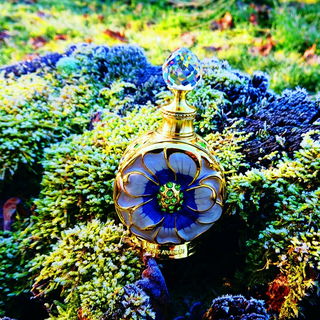 💙 Die einzige Blüte in frostiger Natur 💙 Dankeschön 🥰