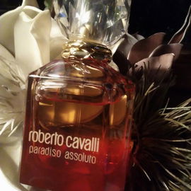 Paradiso Assoluto - Roberto Cavalli