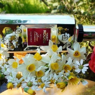 Habit Rouge Édition Beau Cavalier by Guerlain