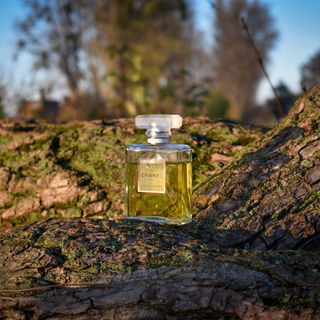 N°19 Poudré by Chanel