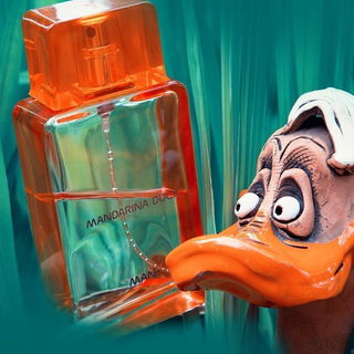 Mandarina Duck Man