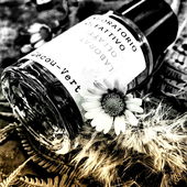 Daunenflaum flieg - ich wünsch euch eine grüne Wiese (von Seejungfrau)