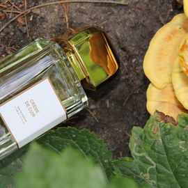 Crème de Cuir (Eau de Parfum) von bdk Parfums