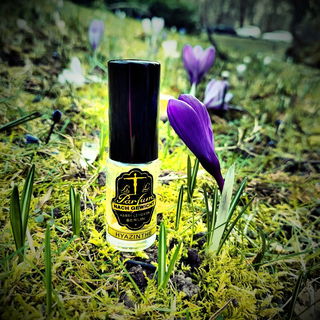 Hyazinthe - Harry Lehmann