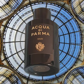 Oud (Eau de Parfum) - Acqua di Parma