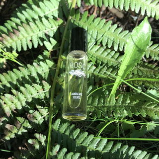 Landscape Scents - Bosc - Bravanariz