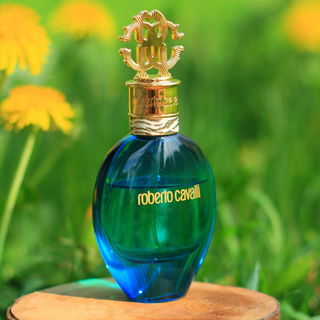Roberto Cavalli Acqua - Roberto Cavalli