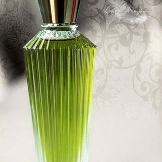 Ashoka - Neela Vermeire Créations