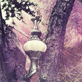 🩷 Zart-rosa Moschusnebel 🩷