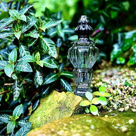 …📷🌍 Thank you. Danke schön. Merci beaucoup. Muchas gracias. Dōmo arigatō gozaimasu 💐…