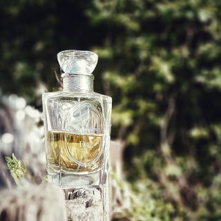 Diorissimo (2009) (Eau de Toilette) - Dior