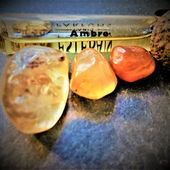 Fossile Fenster (by Floyd)