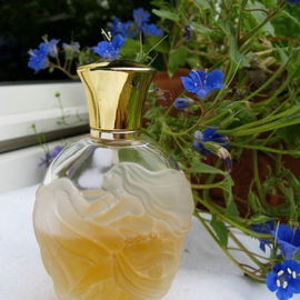 Brocade (Cologne) - Avon