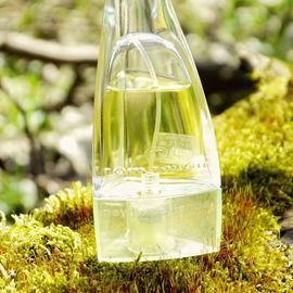 New Experience Man (Eau de Toilette) - Tom Tailor