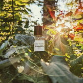 Ich danke Euch allen ganz herzlich! 🌿☀️🌿 (von Goasbaeuerin)