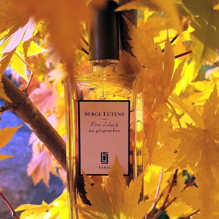 Five o'clock au gingembre - Serge Lutens