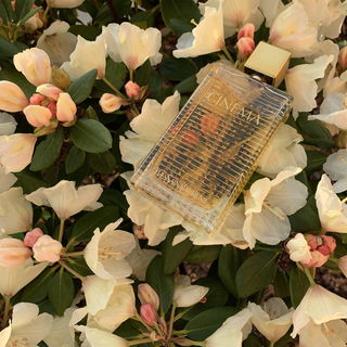 Cinéma (Eau de Parfum) von Yves Saint Laurent